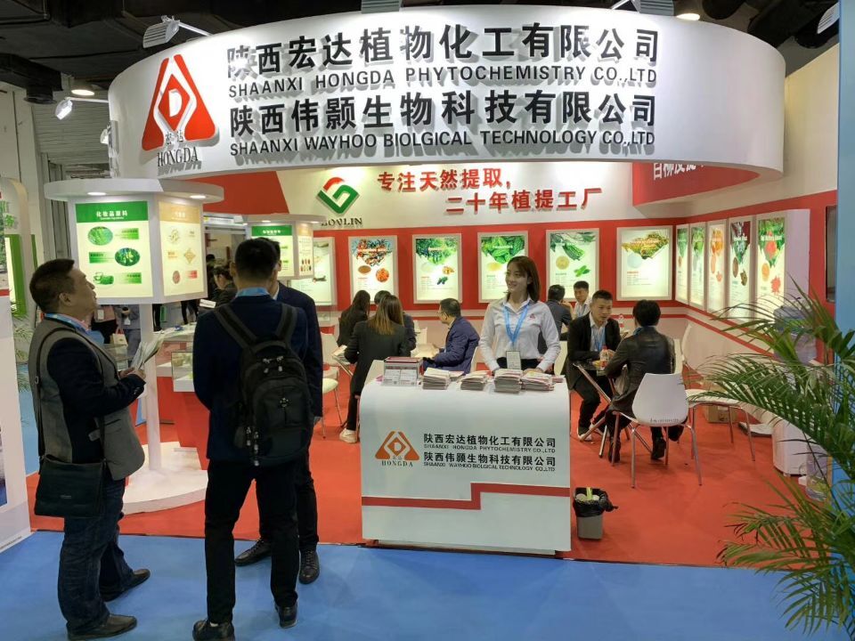 廣州 Hi&Fi 展會.jpg
