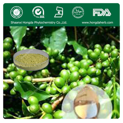 绿咖啡豆提取物(98%)
