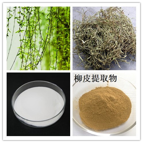 white willow bark extract.jpg