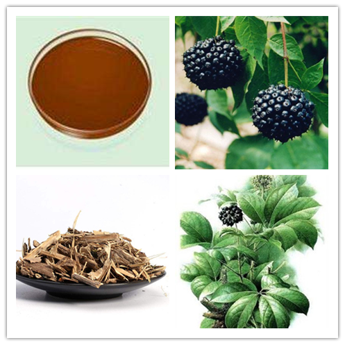 siberian ginseng extract.png